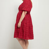 Crinkled Gingham Flounce Dress