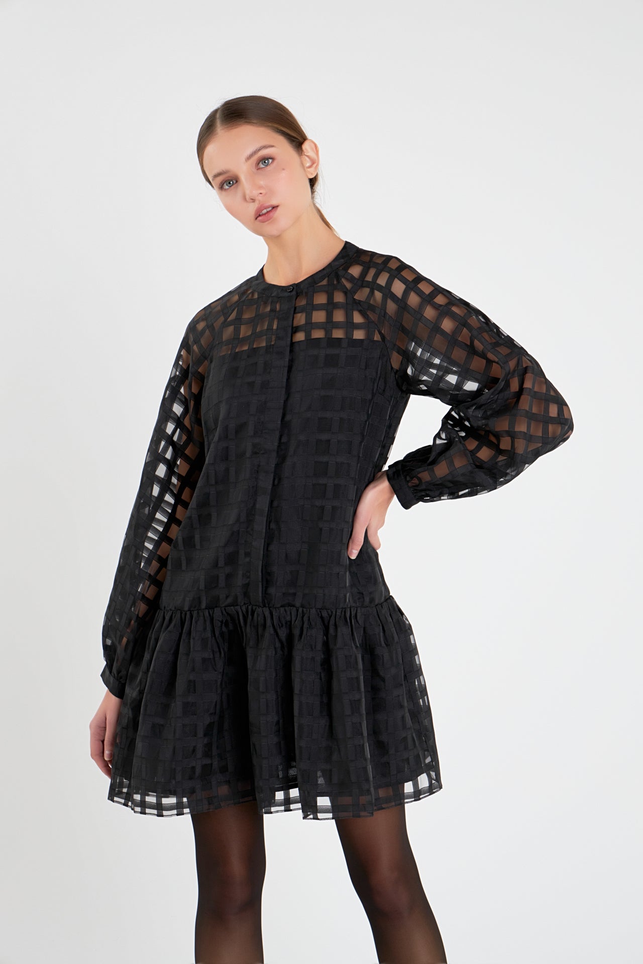 Sheer Checkered Organza Long Sleeve Mini Dress – English Factory