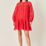 Sheer Checkered Organza Long Sleeve Mini Dress