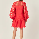 Sheer Checkered Organza Long Sleeve Mini Dress