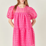 Gridded Organza Mini Dress