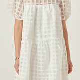 Gridded Organza Mini Dress