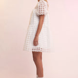 Gridded Organza Mini Dress