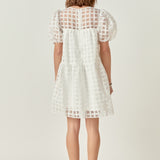 Gridded Organza Mini Dress