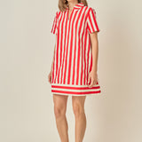 Coastal Stripe Mini Dress