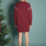 Whip Stitched Knit Mini Dress