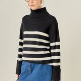 Turtle Neck Stripe Sweater