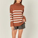 Turtle Neck Stripe Sweater