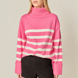 Turtle Neck Stripe Sweater