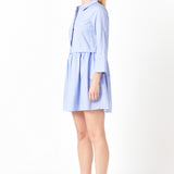 Mini Shirt Dress