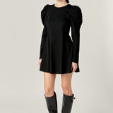 Long Puff Sleeve Mini Dress