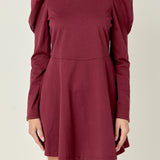 Long Puff Sleeve Mini Dress