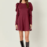 Long Puff Sleeve Mini Dress