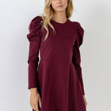 Long Puff Sleeve Mini Dress