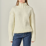 Thick Turtle Neck Sweater
