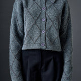 Lurex Argyle Knit Cardigan