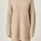 Cozy Round Sweater Dress