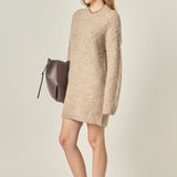 Cozy Round Sweater Dress